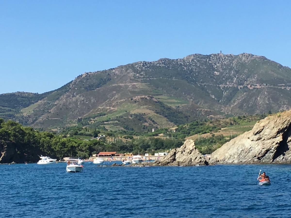 Studio Avec Parking Et Exterieur A 2 Min De La Plage Argelès-sur-Mer Eksteriør bilde